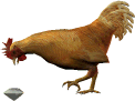 roosterjewel.gif